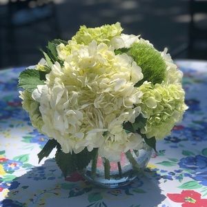 Meet your Posher, Olga